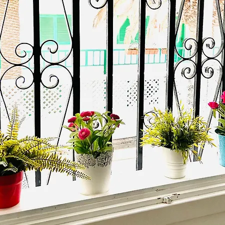 Apartament Long